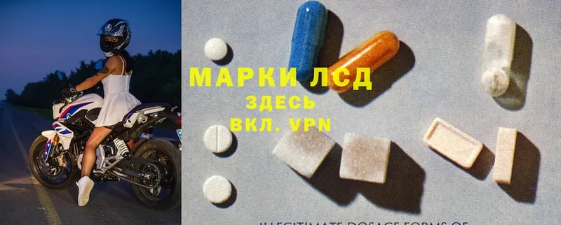 Лсд 25 экстази ecstasy  мега зеркало  Купино 